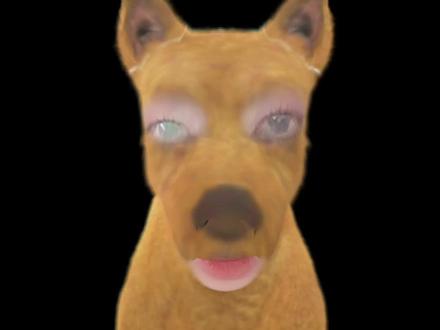 1.27这次点亮五折副本有点拉啊 不仅很多没进,价格也没上次低
多多还是好多多吗
#酷态科