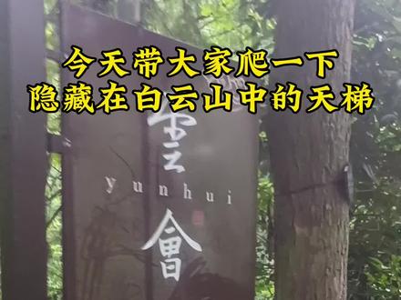 今天爬一下隐藏在白云山中的天梯,你爬过没有?#丽水 #用抖音记生活 #爬山 #白云山##天梯