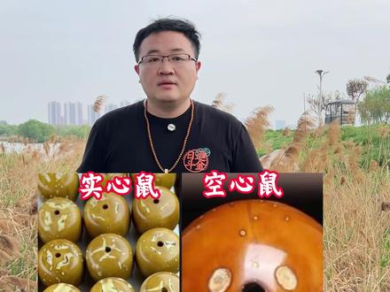 99%的人不知道如何选择紫金鼠#紫金鼠 #实心鼠 #招财鼠 #文玩#紫金鼠菩提