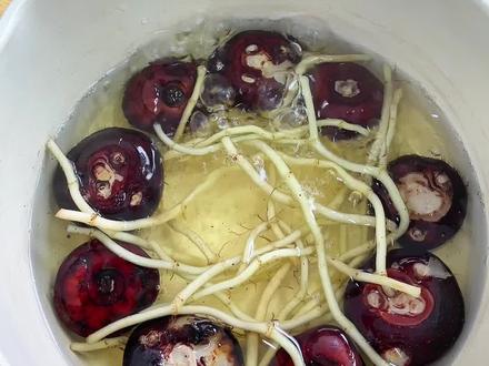 人生小满胜万全#痔疮#记录日常#厨房日记