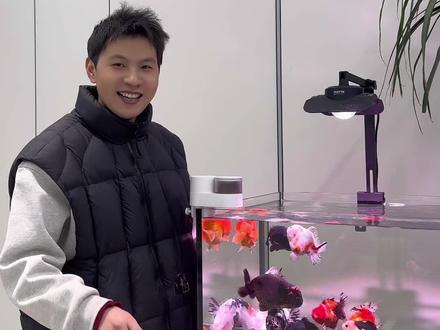 自动喂食器 除了春节,日常工作忙我们也可以定时定点喂,或者一健远程喂食,养鱼少食多餐。哈哈哈,我觉得对不起你们,你们都收到货了我视频才更新完#水族#养鱼 #自动喂食器鱼缸 #养鱼自动喂食器