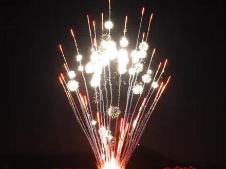 祝大家2026年,马到成功,刷到视频的又顺又发#烟花🎆 #新年烟花秀 #新年烟花 #新年快乐 @MR-白冰