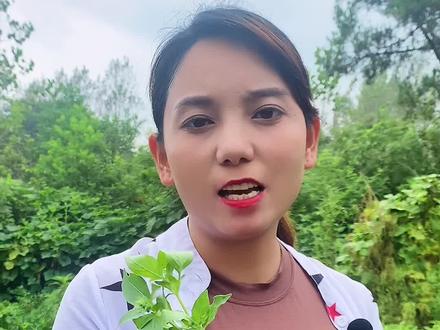 90%的人不知道,只有河南人知道,你们那有吗?叫什么?#vlog日常 #新农人计划 #草本植物@抖音小助手