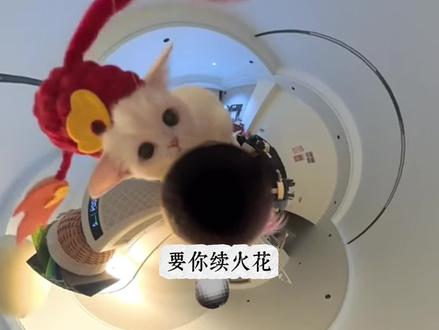 要你续火花跟害你似的#续火花 #火锅 #薅羊毛 #冷知识 #万万想不到