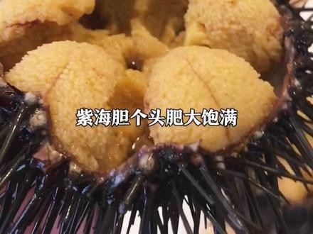 谢谢你,带你去海胆小馆吃大连最鲜最好吃身价最高的马粪海胆!#跟着抖音甜蜜一夏 #父亲 @抖音美食