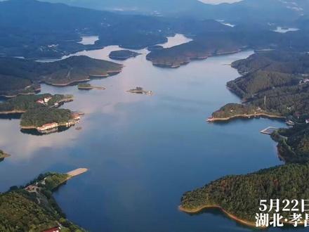 守护生物多样之美 绘就人与自然和谐共生新画卷