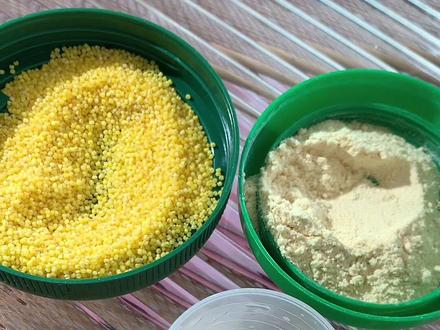 手养珍珠鸟教程来了,非常简单,想养的大胆去尝试#珍珠鸟 #手养鸟日常