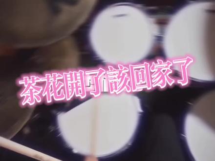 “茶花开了 该回家了” #茶花开了该回家了 #加木 #说唱 #hiphop #架子鼓