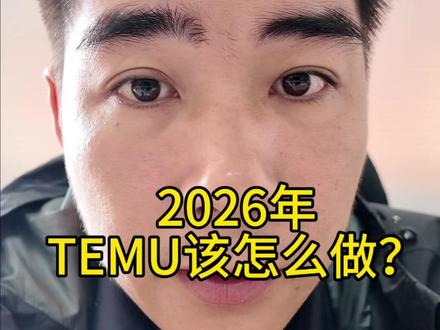 TEMU2026年发展方向 #创作灵感 #temu #跨境