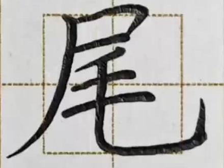 每日一字“尾”#少儿硬笔书法 #每日一字