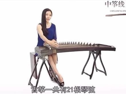 袁莎老师古筝基础入门#零基础学古筝