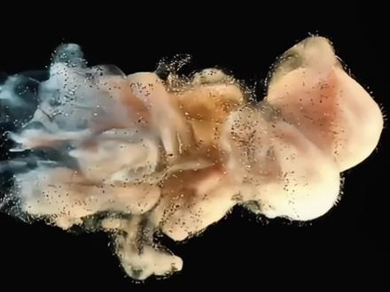 热门书籍-《稻草人》导读