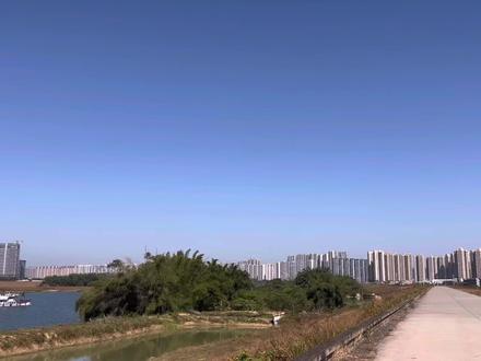 脾胃养好,百病不扰#倪海厦#中医#脾胃 #涨知识