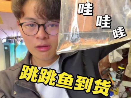 不喜欢呆在水里面的鱼,有意思#养鱼日记