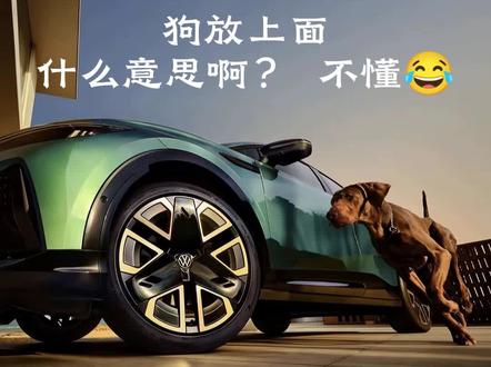 狗放上面什么意思啊?不懂#飞驰狗生 #趴窝 #大众
