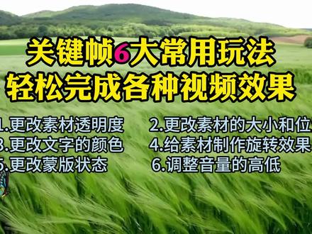关键帧6大常用玩法,让你轻松完成视频动画 #剪映关键帧 #视频关键帧怎么用 #剪映关键帧动画 #剪映课程教学