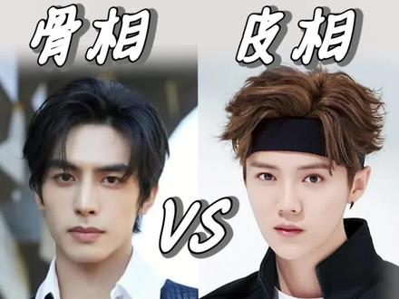 骨相or皮相?你属于哪一种?!#看看你的购物车含娃量 #男生变帅 #骨相与皮相 #骨相 #皮相