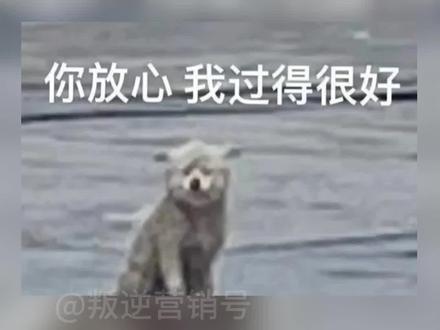 不敢想,一点都不敢想 #人哪有不疯的硬撑罢了 #搞笑 #你的真实年龄是几岁#虚岁 #搞笑
