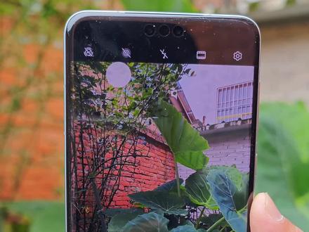 mate60Pro:它是不是真的有那么好?#手机摄影 #mate60pro #华为 #长焦微距