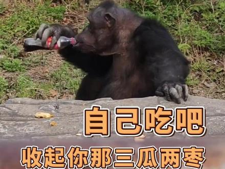 还是对自己好点吧 #五一 #搞笑 #动物园 #天津动物园