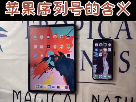 解读苹果序列号的含义#苹果序列号