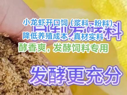 小龙虾发酵饲料,自己动手,丰衣足食,节约原来70%的虾苗成本#小龙虾虾苗饲料 #小龙虾饲料 #洪湖峰口邓涛水产 #洪湖邓涛水产 #邓涛水产养殖服务中心