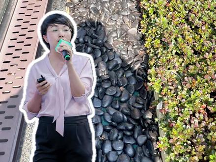 如何把庭院排水沟做的又美观又实用,一条视频讲清楚
#庭院 #花园 #庭院设计 #庭院设计施工 #排水沟