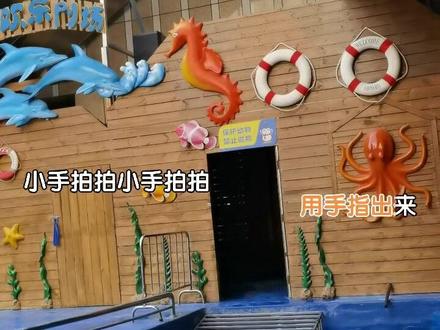 会拍肚皮的海狮