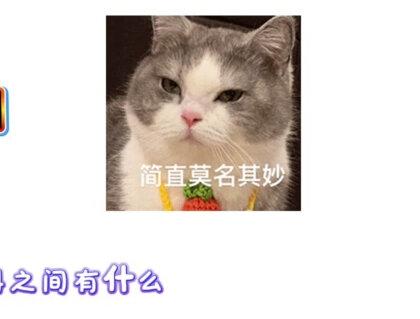985学生思路:历史选择字少题短套路深,错误率极高。#分享我的解题思路 #创作者中心 #创作灵感 #高中历史 #高考历史