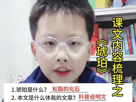 四下《琥珀》#知识点总结 一颗松脂的化石,形成需要4个必要条件,一篇科普说明文将其展现在我们面前#知识分享 #科普 #四年级#小学生