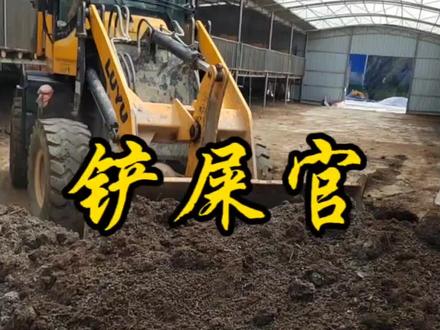 #创作者大会#创作者大会 #羊粪有机肥#农村创业养殖 #生态黑山羊养殖