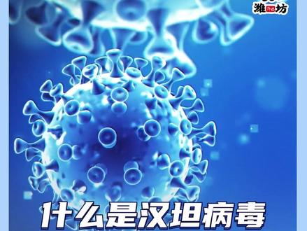 什么是汉坦病毒?传染源是什么?