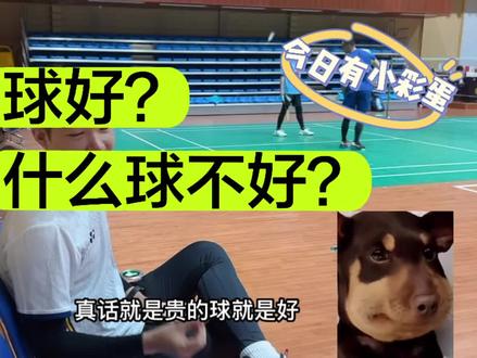 羽毛球好与坏究竟要怎么定义比较好#羽毛球 #一起打羽毛球