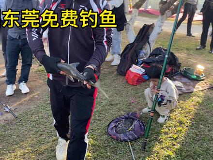 松山湖这个位置可以免费钓鱼,离深圳也近,今天白鲢太多了#钓点 #野钓 #露营 #钓鱼 #游钓江湖