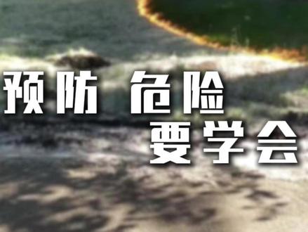 杨柳絮很烦人,学会做好这些措施,及时预防 #预防 #杨柳絮 #杨柳絮满天飞 #杨柳絮火灾 #柳絮到底有多烦