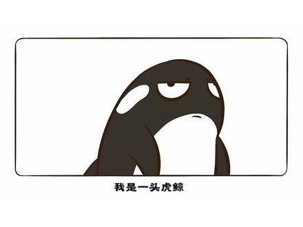 又萌又猛又聪明的虎鲸还真是当之无愧的海上霸主啊!#冷知识 #虎鲸 #在抖音学习 #知识创作人 #跨过2021 #抖音学习课代表