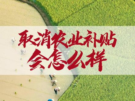 农业种植,如果取消农业补贴会怎么样? #农业 #农村 #农民 #三农 #水稻 #油菜 #小麦 #玉米 #种粮 #种地 #种田 #稻谷 #粮食 #种植 #农资 #农技 #春耕 #肥料 #化肥 #新农人 #复合肥 #油菜种植 #水稻种植 #水稻种子 #小麦种植 #玉米种植 #农业知识 #农业种植 #服务三农 #种植技术 #农业技术 #三农种植 #农民不易 #病虫害防治 #种植小技巧 #农业技术推广 #新农人计划2025 #农民种地不容易 #春耕备耕进行中 #传播农业小知识 #分享农业知识 #农技知识分享 #服务三农支持三农 #增产增收才是硬道理 #中国农民丰收节 #抖音美好丰收节 #在抖音入手的好东西 #无限回购的宝藏单品 #分享农业知识帮农民增产增收 #老周不知稻