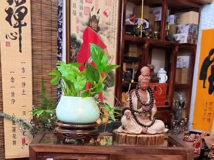 谁懂!这个中古风的黑胡桃木的茶具收纳柜真的很好用,既能防尘展示,颜值又在线!茶桌立马变整齐,家里氛围感瞬间翻倍#茶具收纳柜#茶架#茶边柜置物架 #茶空间#茶几