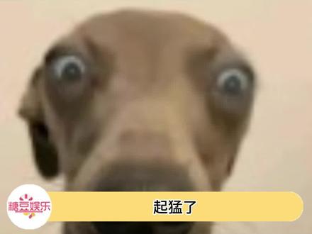 别的改编我思考哪些不能播,道诡异仙改编我开始思考哪一章是可以播的……#道诡异仙影视化