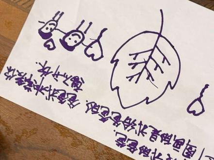 美美冷冰冰了#高迪大美儿子 #果冻果汁果粒三兄弟