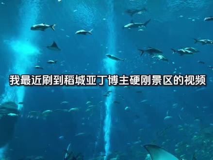 稻城亚丁此举违规?网友看法两极分化!
#稻城亚丁 #旅游避坑 #川西旅游 #知识科普 #真实生活分享计划