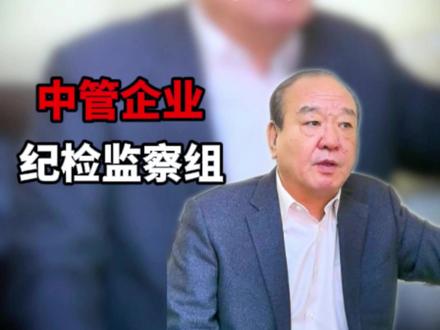国企反腐的“钦差大臣” #职务犯罪 #刑事律师 #抖来普法2025