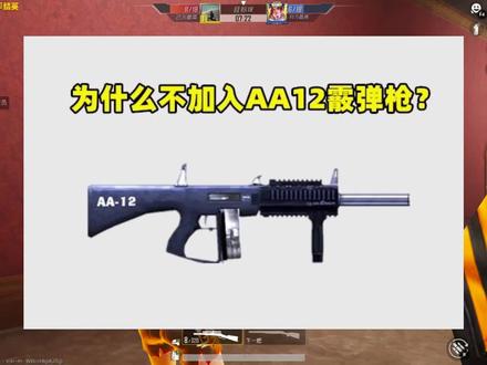 为什么不加入AA12?原因只有1个,其他喷子在它面前都是渣渣