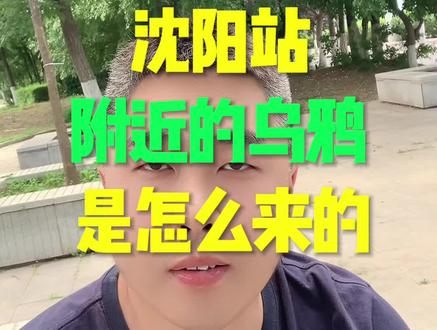 #沈阳 #沈阳同城 #沈阳站 #沈阳站乌鸦