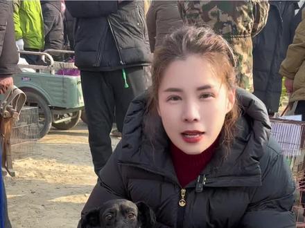 狗市偶遇一只超级丑的黑泰迪,小型犬#黑泰迪#小型犬 #泰迪