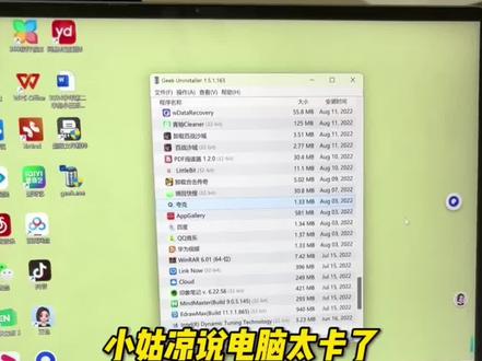 小姑凉说笔记本不好用!太卡了 #电脑#电脑小技巧
