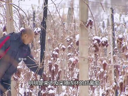 冰葡萄汁如何制作的? #冰葡萄汁 #葡萄汁 #果汁