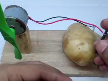 用土豆免费发电,制作电动风扇,制作及其简单。#手工diy #生活好帮手 #小技巧 #生活小妙招每日更新