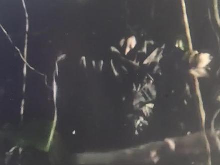 十年前看的电视剧,不知道电视名,在抖音上刷到才知道是末路天堂,挺不错的!每天晚上一点播到早上六点,至今记忆犹新
