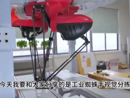 伯朗特工业蜘蛛手视觉分拣#自动化生产 #智能制造 #工厂实拍视频